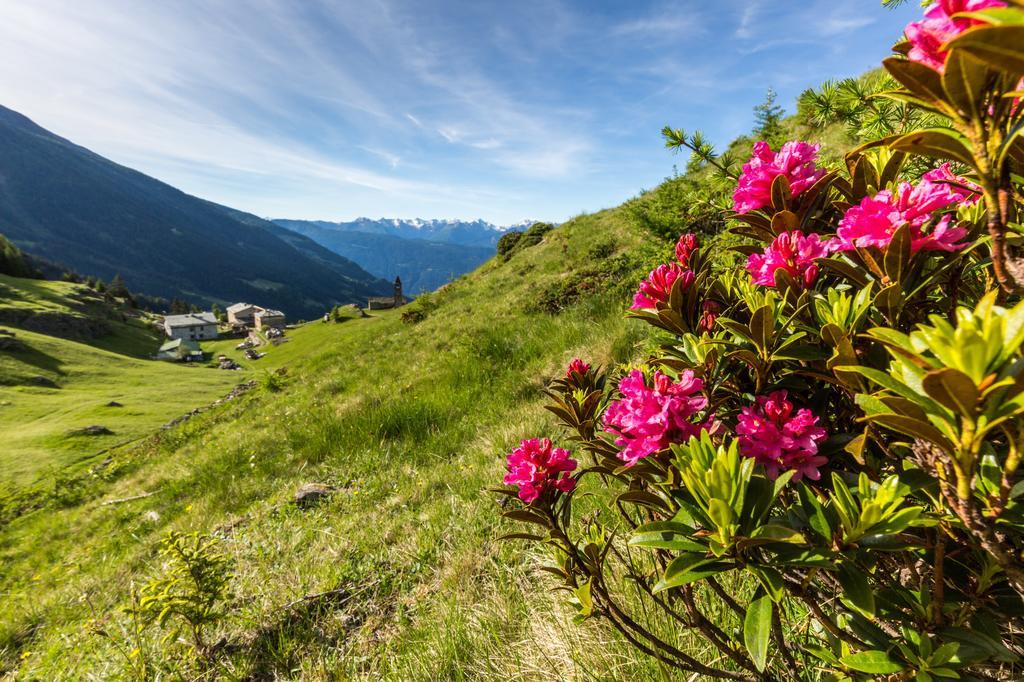 Rifugio Alpe San Romerio Brusio Екстериор снимка